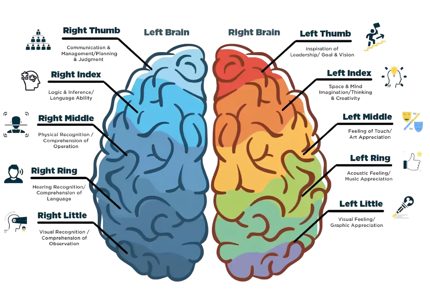 MindVani DMIT fingerprint brain analysis