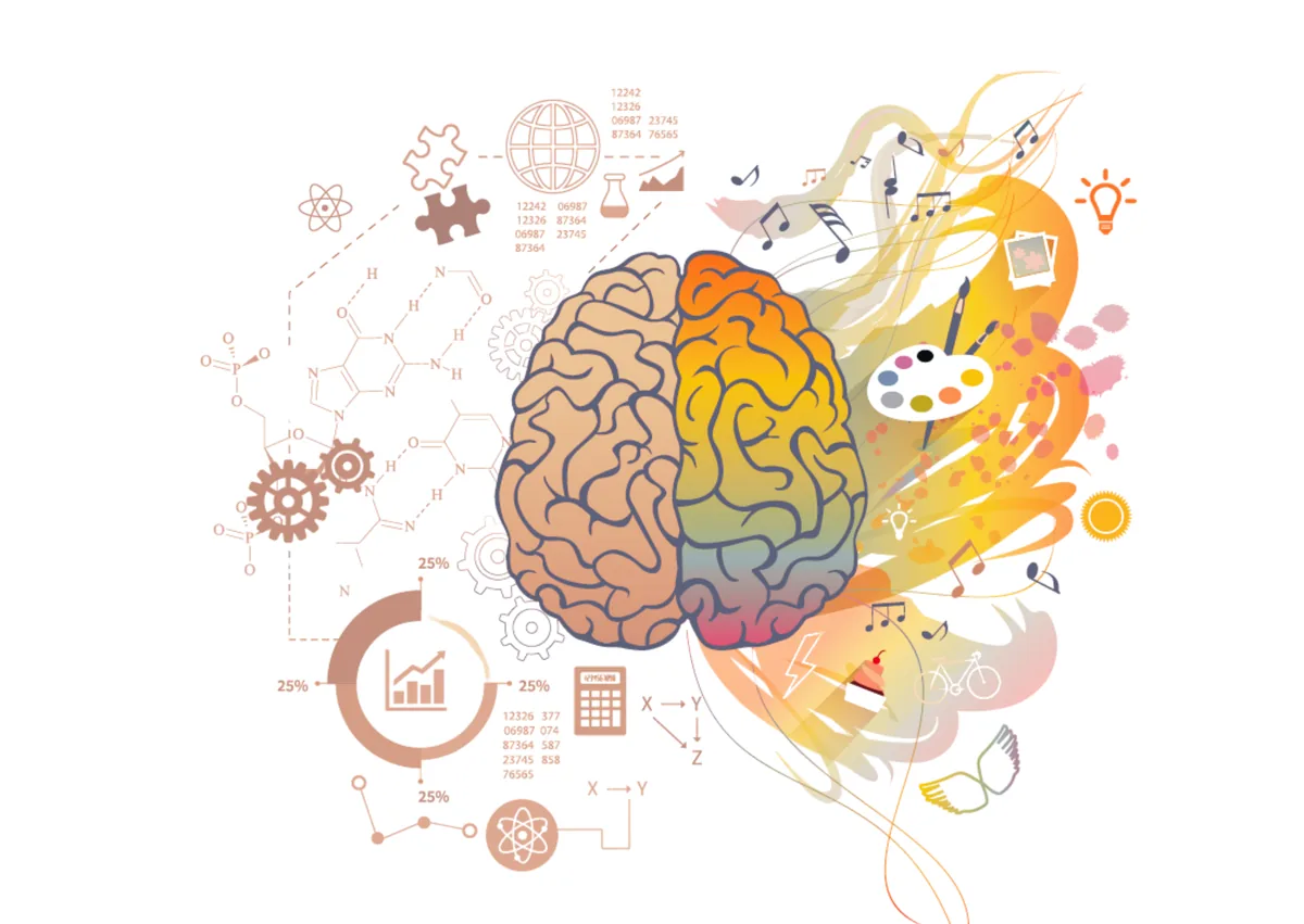 What is DMIT — fingerprint and brain science